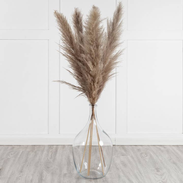 Mollie Sophia Ltd – Engroshandel Tørrede/pressede blomster – Naturligt pampasgræs 120cm tørret pampas til vase boligindretning