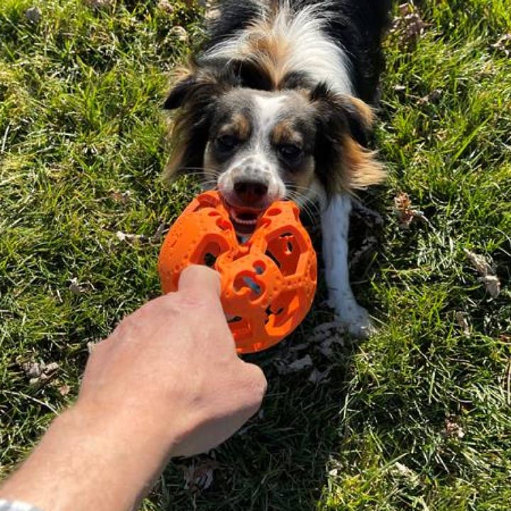 Tall Tails - Wholesale Pet Fetch Ball - Dog - GOAT Sport Flex-a-Ball Dog Toy6