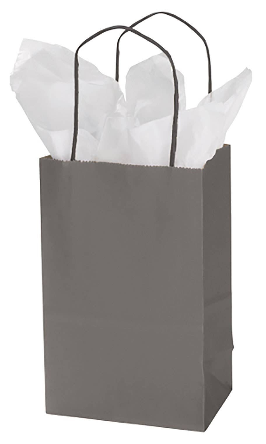 Store Supply Warehouse - Wholesale Gift Bag - Colorful Kraft Paper Shopping Bags6