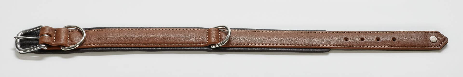 LABONI - Volentis GmbH - Wholesale Pet Collar - Dog - AMICI dog collar6