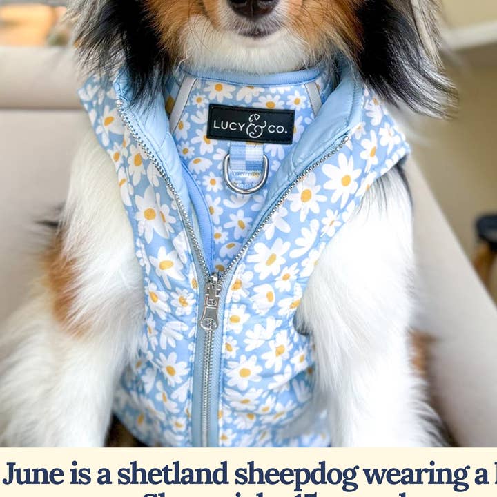 Simply Splendid Puffer Vest for wholesale by Lucy & Co.