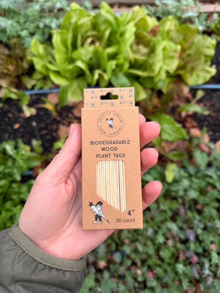 Étiquettes de plantes en bois biodégradables - 4 pouces pour la vente par Seattle Urban Farm Company