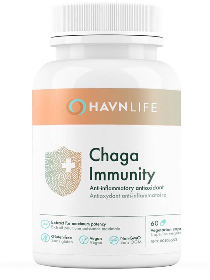 Chaga Immunity for wholesale by Havn Life