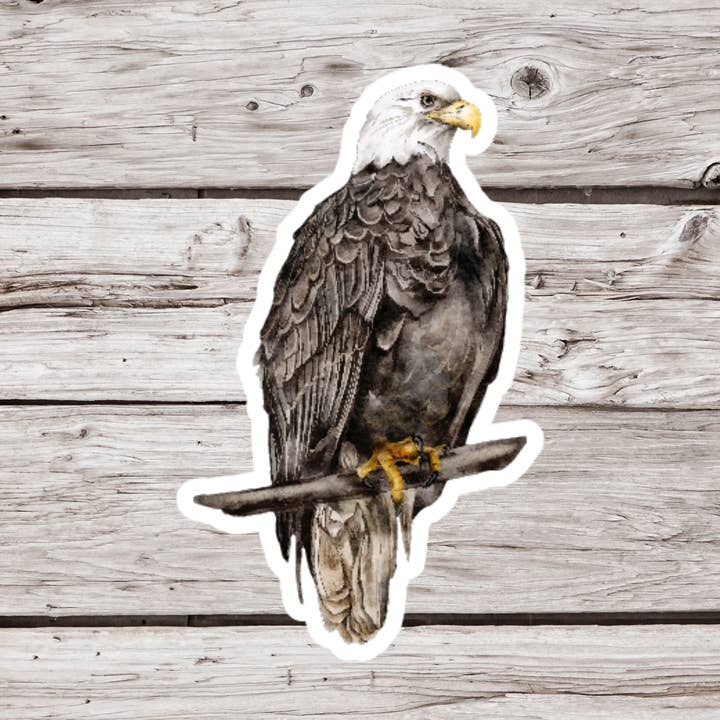 Bald Eagle Sticker, Eagle Sticker, Bird Sticker for wholesale by NatureCuts