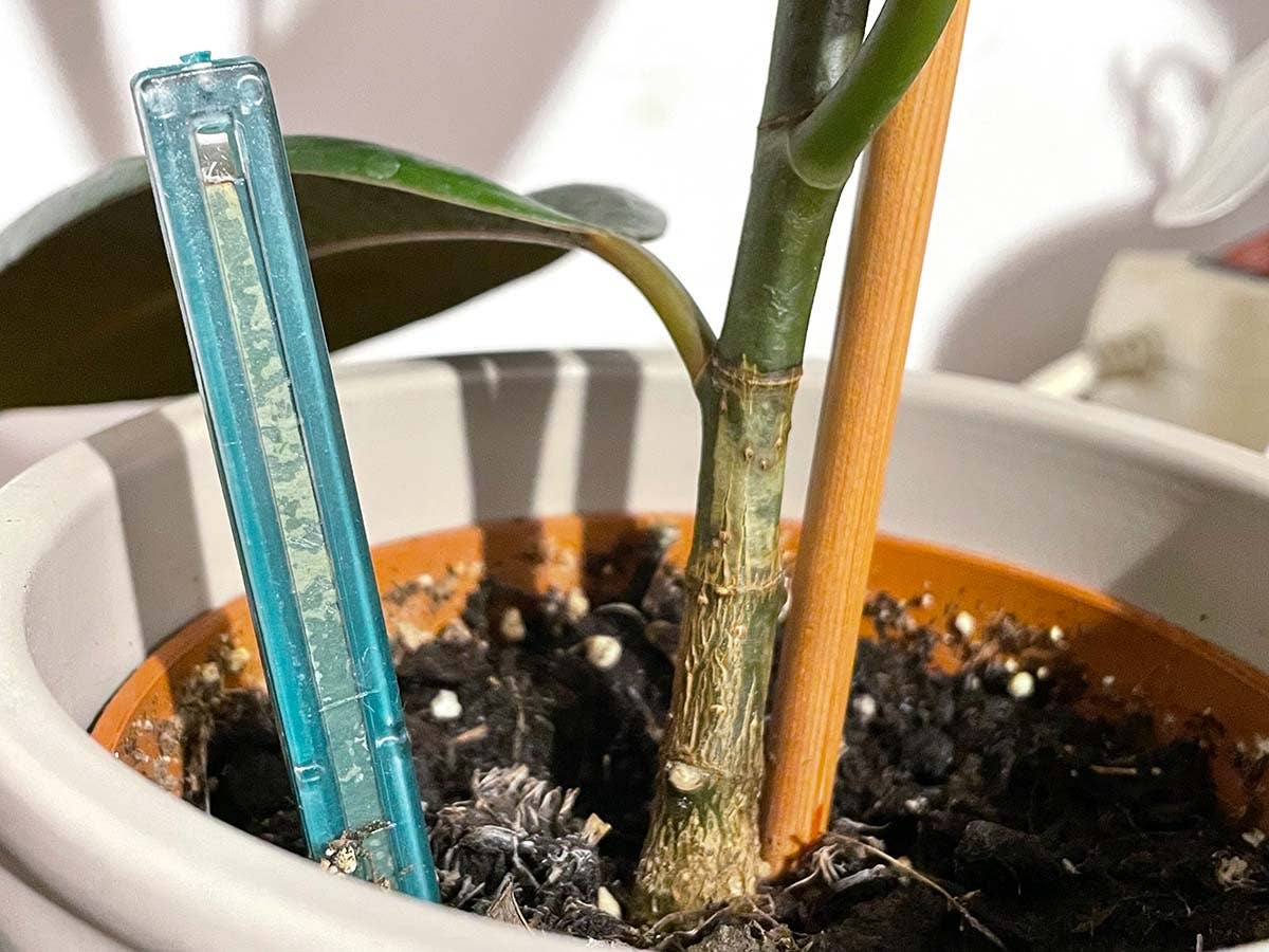 JARDIN Y NATURA OUTDOOR & GARDEN PRODUCTS SL - Wholesale Garden Tool - Moisture meter for pots - H2O TEST2