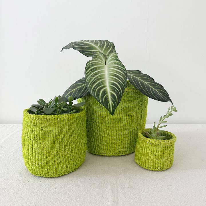 Storage Plant Basket: Lime for wholesale by Amsha