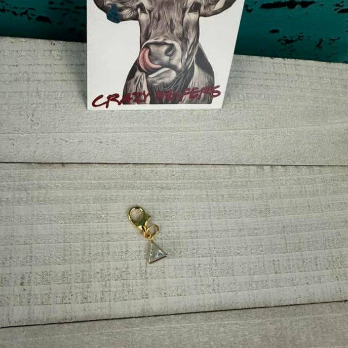 Crazy Heifers Wholesale - Wholesale Individual Charm/Pendant - Clip-on Charms Gold Tone4