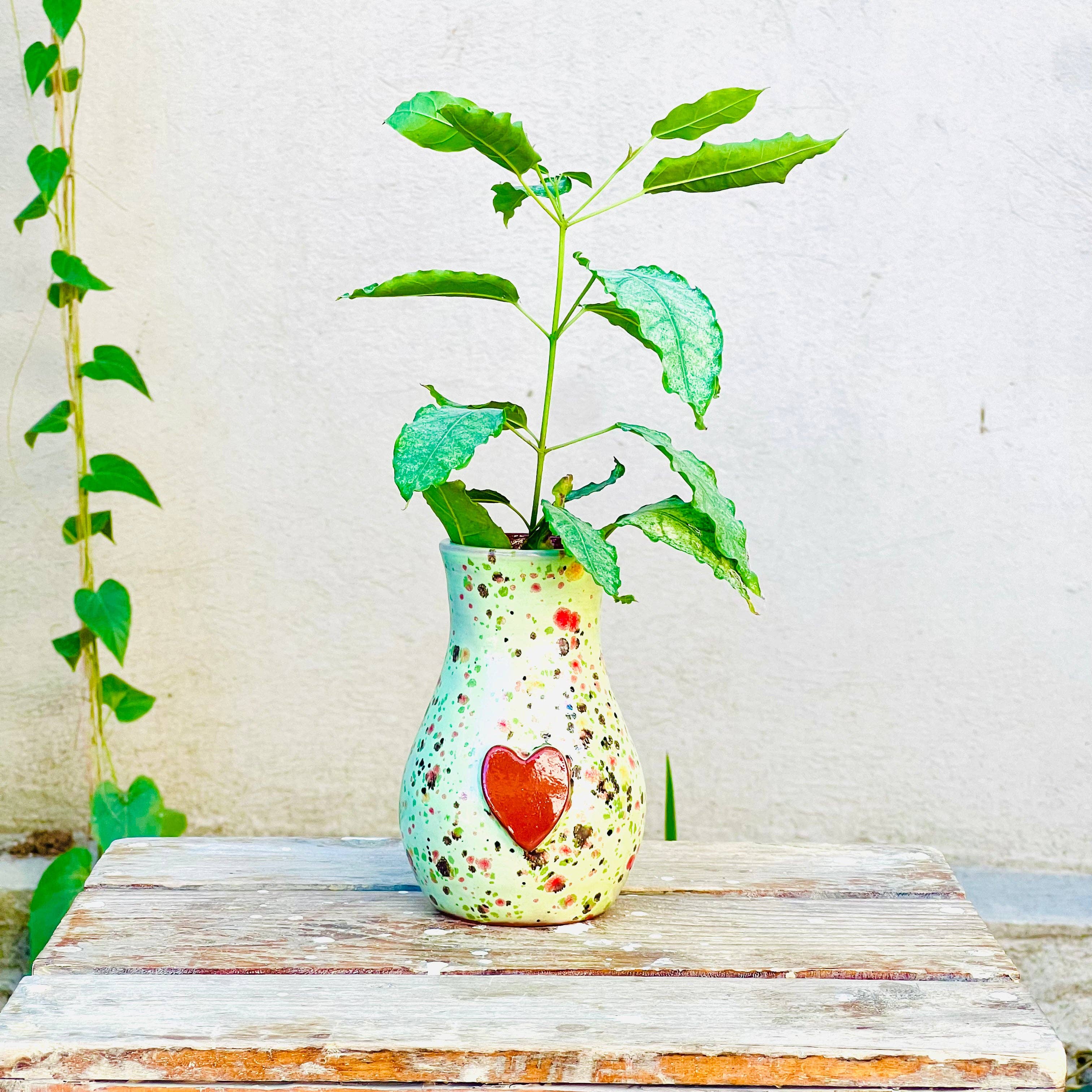 Papillon Wholesale - Wholesale Vase - Calliope Vase7