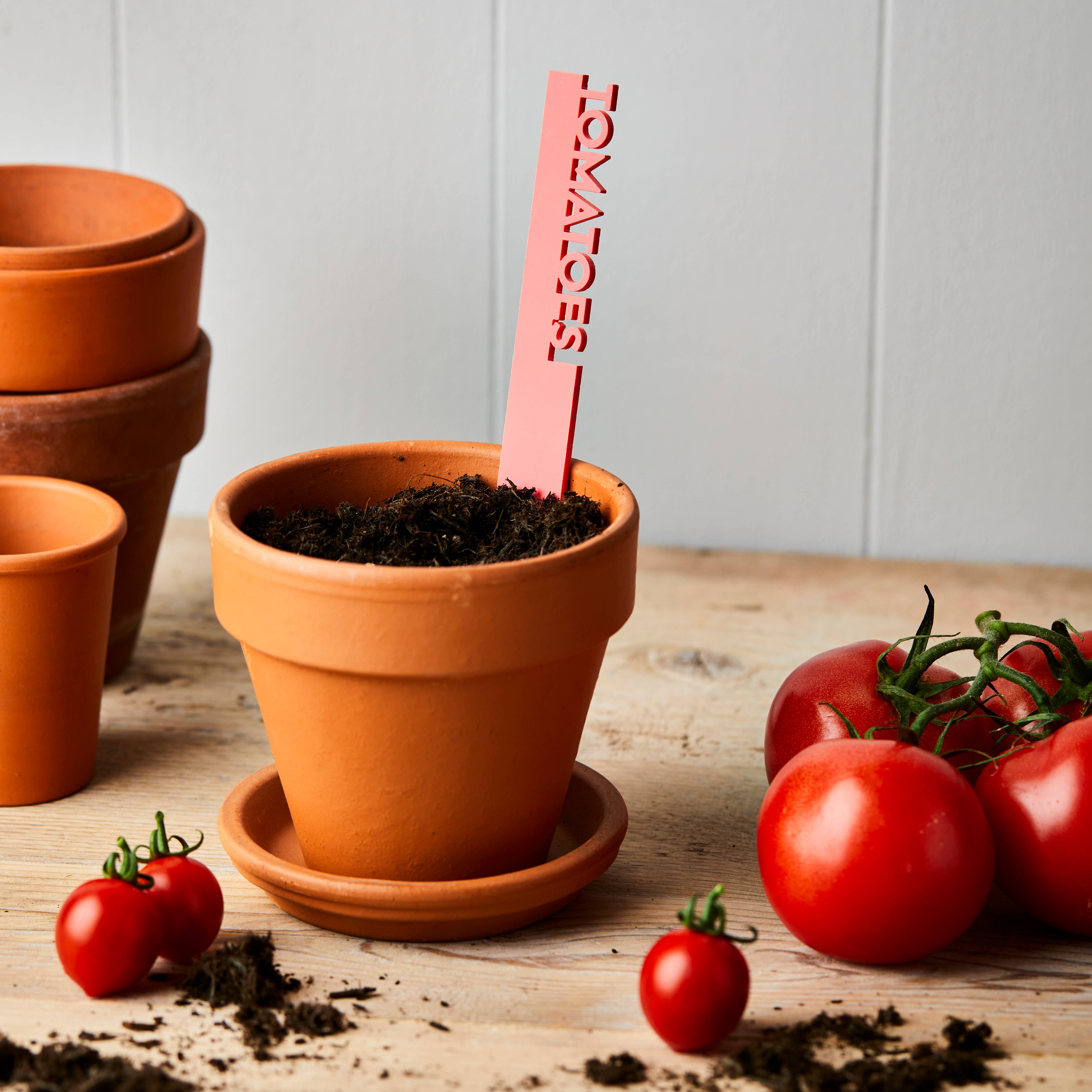 Parkin & Lewis - Wholesale Garden/Lawn Stake - Pastel Fruit and Vegetable Plant Labels4