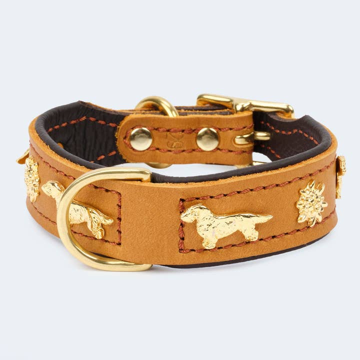 ​​Leopold's Finest for dogs - Wholesale Pet Collar - Dog - Dog collar leather dachshund cognac/dark brown