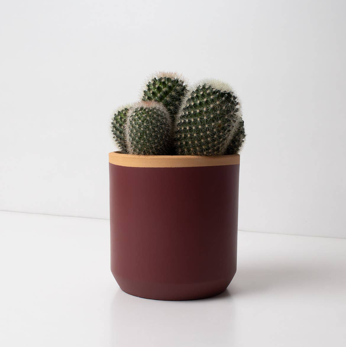 Resetea - Wholesale Plant Pot - Plum Red Handmade Planter🪴1