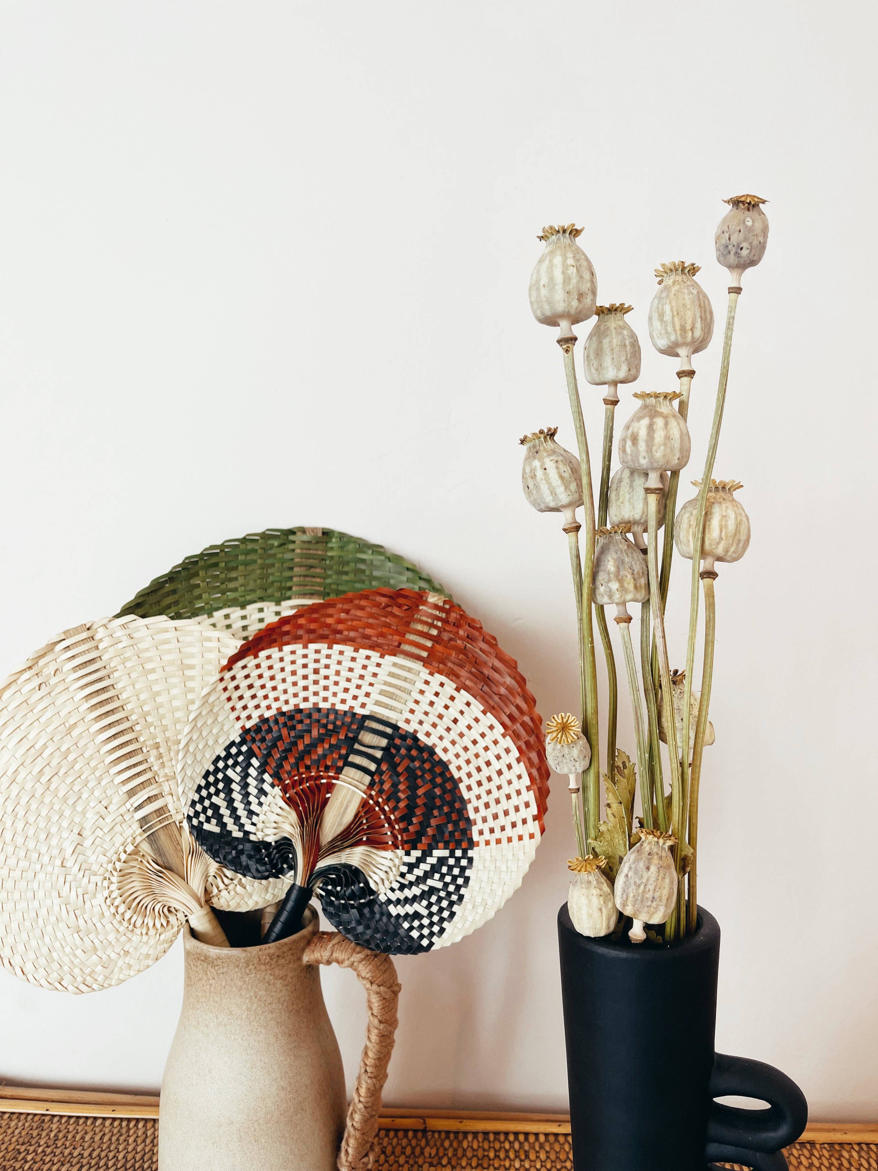 Uma Cantik - Venta al por mayor Flores secas/prensadas - Flores secas de amapola4