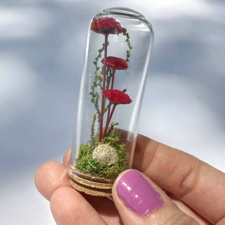 CA Studios - Wholesale Terrarium - Red Mushroom Fields Mini Terrarium Decor w Dried Florals3