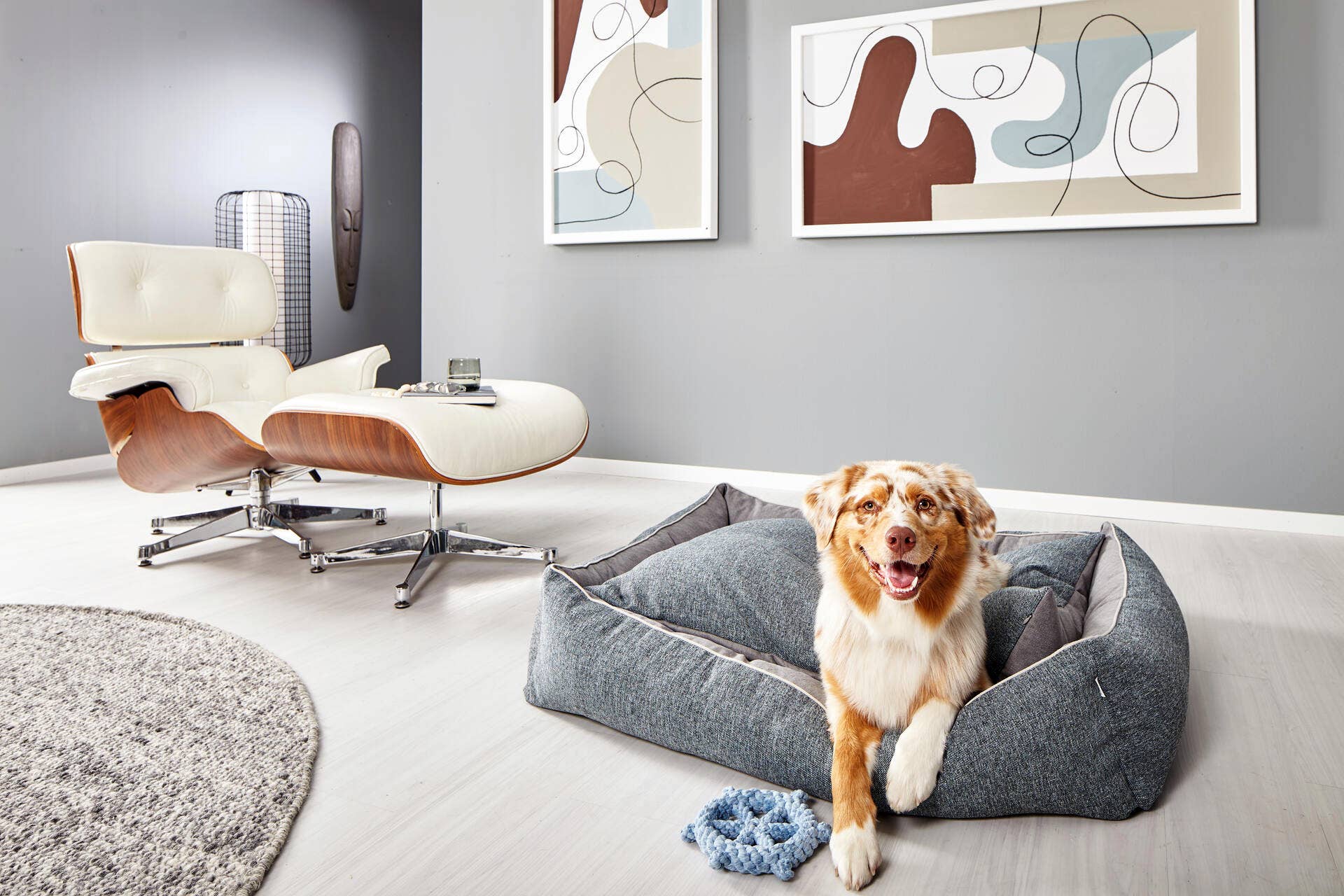 LABONI - Volentis GmbH - Wholesale Pet Bed - Dog - SCALA classic pet bed4