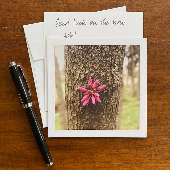 Carte de vœux blanche Red Bud pour la vente par Whispered Light Greeting Cards