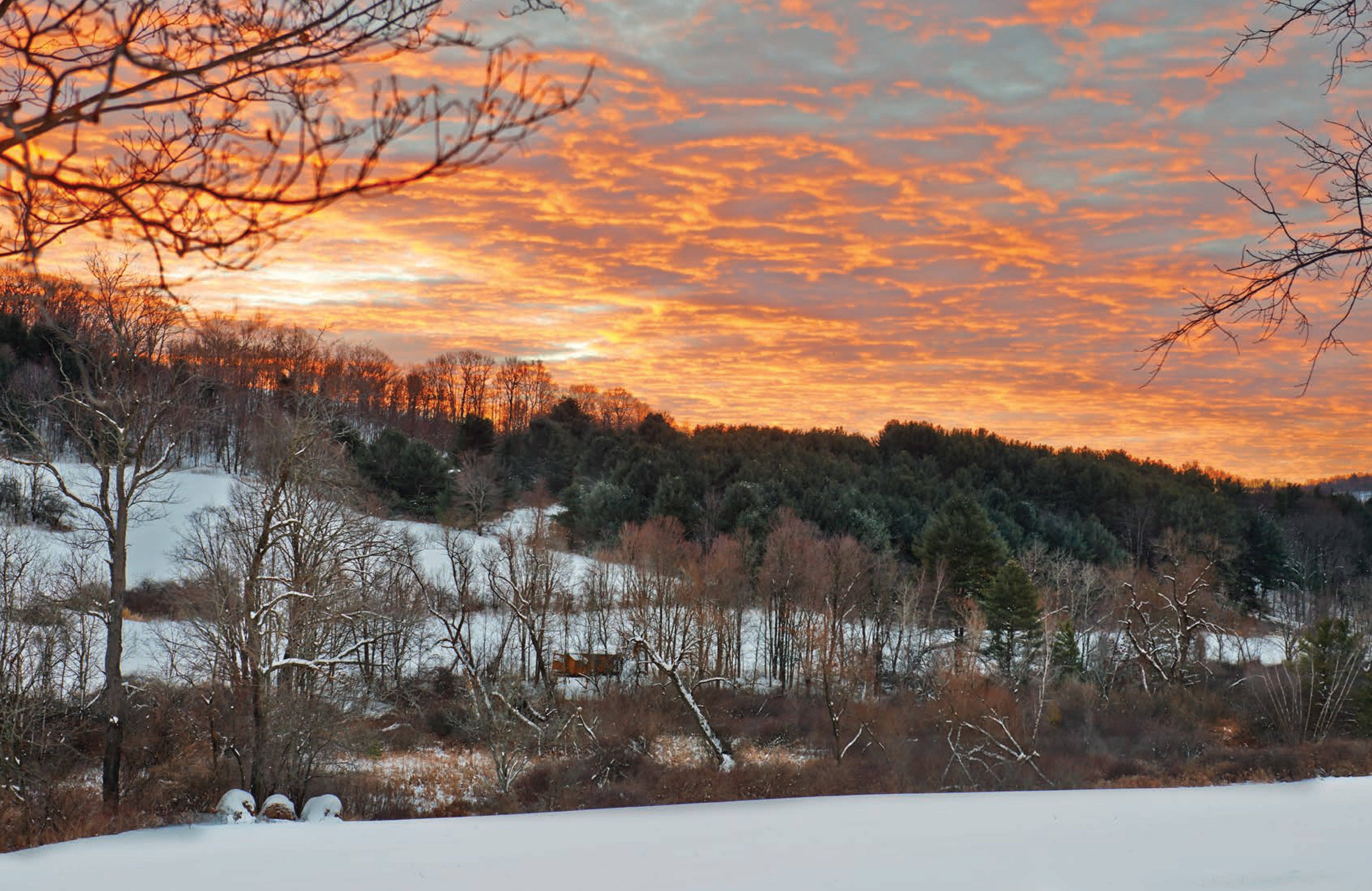 Chronicle Books - Wholesale Home & Garden - Upstate Now7