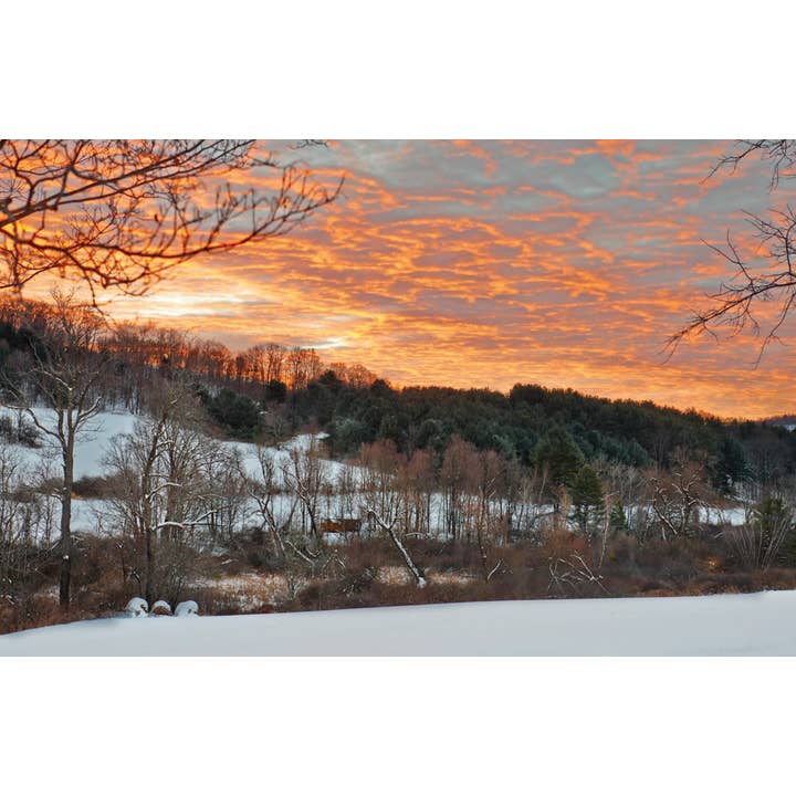 Chronicle Books - Wholesale Home & Garden - Upstate Now7