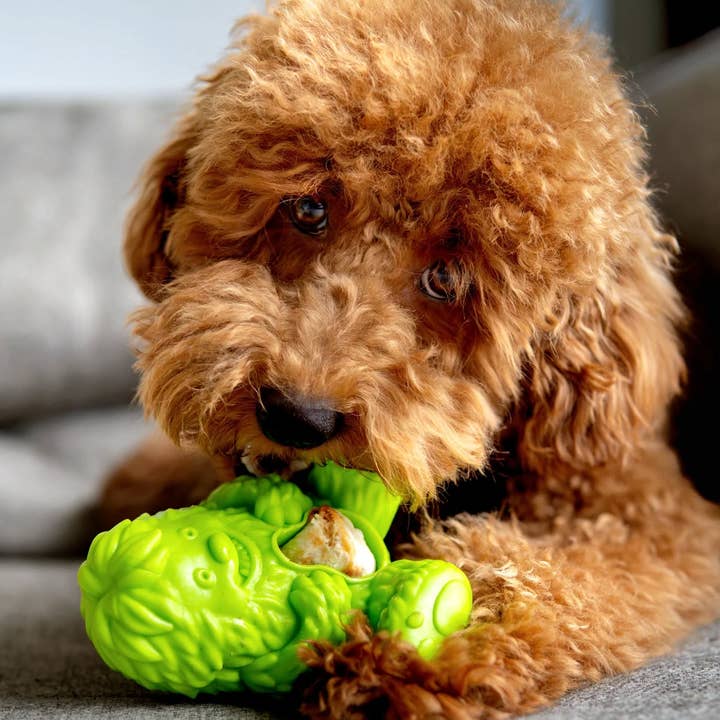 Yeti Dog Chew - Wholesale Pet Treats - Dog - Yeti Yak Cheese Dog Nugget Treat, 50 Piece, 24 Oz6