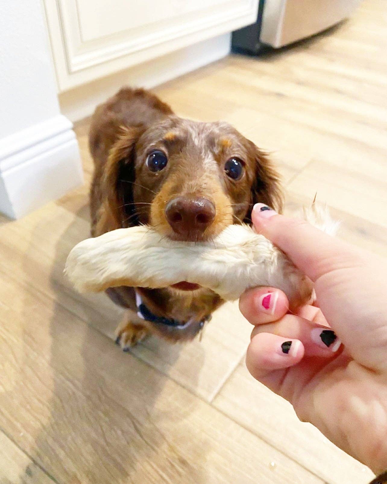 Naked Beasts, Inc. - Wholesale Pet Treats - Dog - Rabbit Feet13