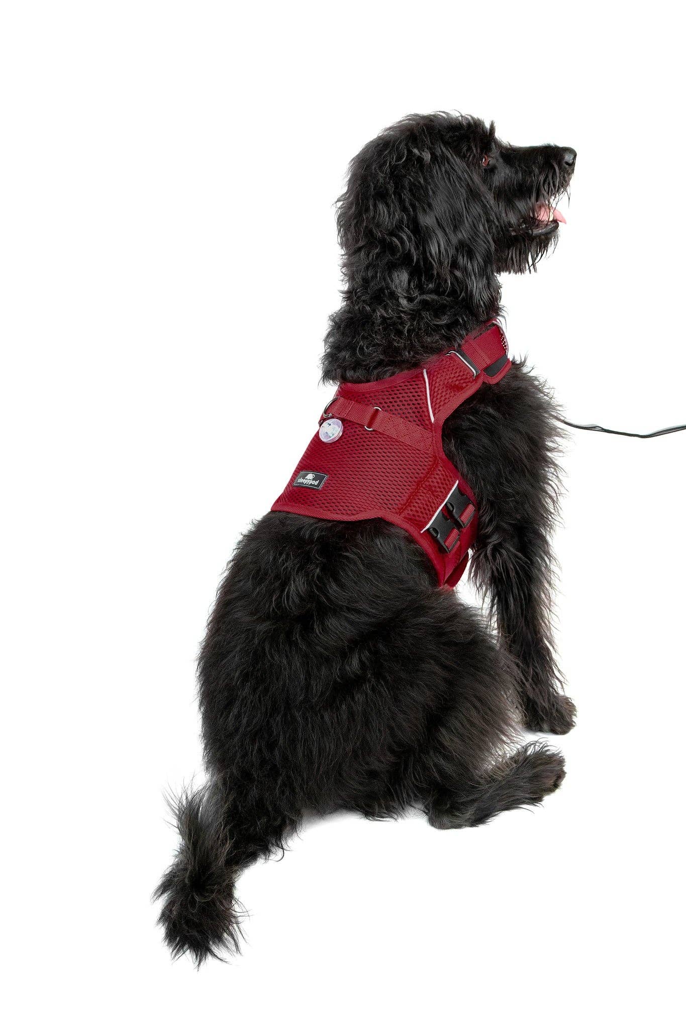 Sleepypod - Wholesale Pet Harness - Dog - Martingale Calming Harness for dogs15