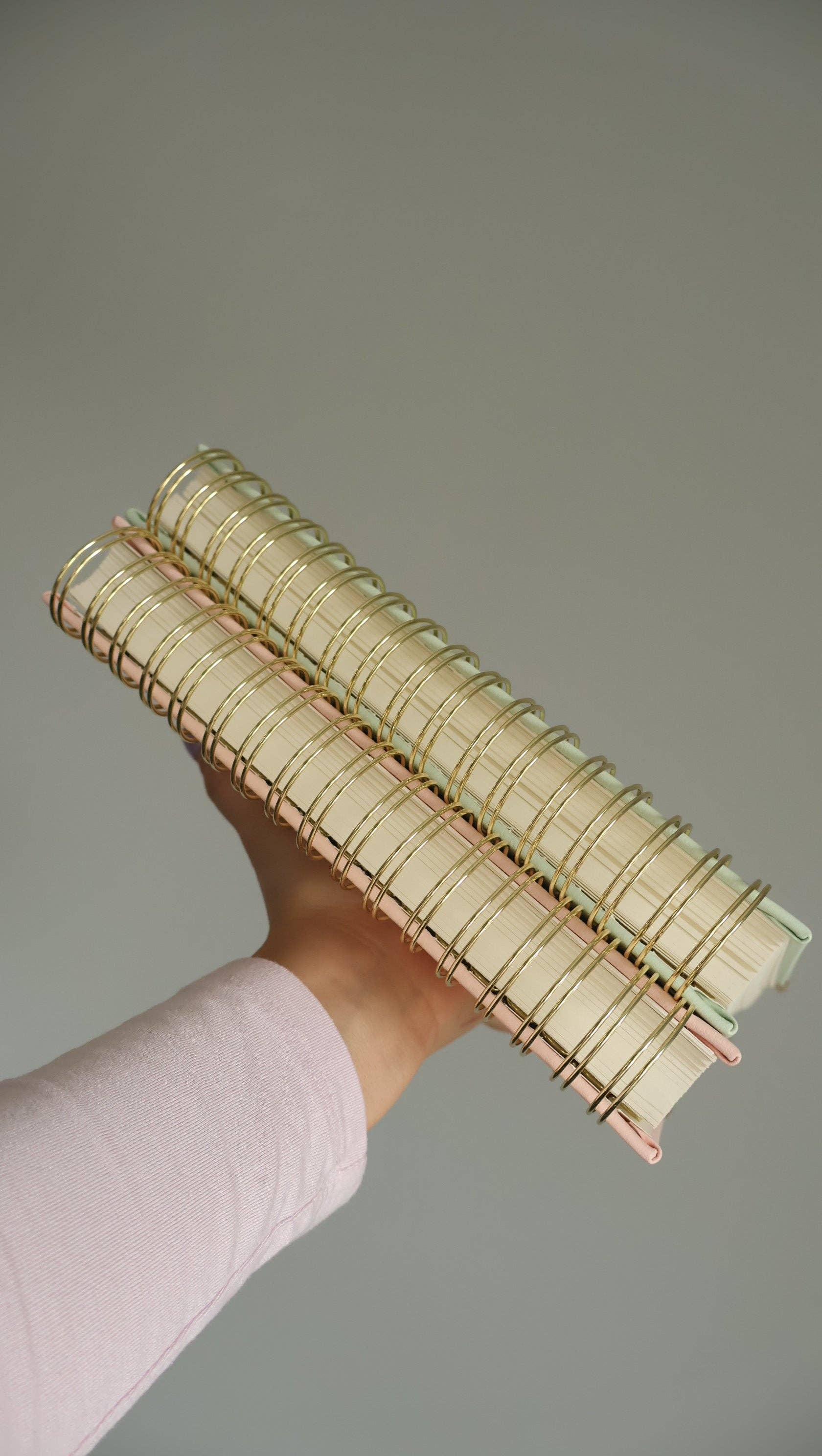 Living In Light - Venta al por mayor Agendas - Planificador Espiral de Cuero Premium - Planificador Cristiano Moderno Sin Fechar con Estudio Bíblico, Establecimiento de Metas, Solicitudes de Oración, Rastreador de Presupuesto Financiero y Más | Cuero Menta y Rosa Rubor con Espiral Dorada10