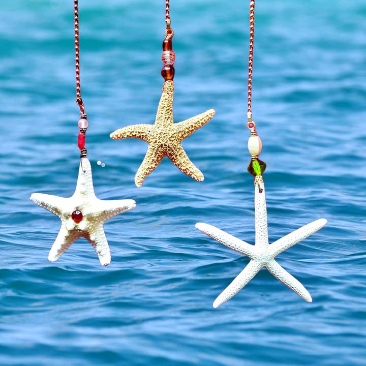 Shell We Sea Designs - Wholesale Decorative Tassel/Wall Drop - Authentic STARFISH Fan Light Pull Chain5