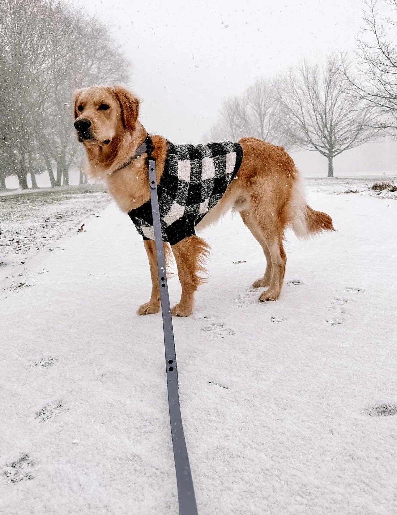 Ruff N' Fluff - Wholesale Pet Leash - Dog - 6 Ft. Adventure Proof Leashes13