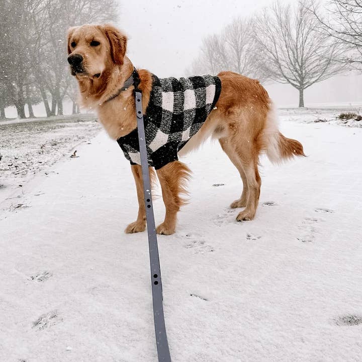 Ruff N' Fluff - Wholesale Pet Leash - Dog - 6 Ft. Adventure Proof Leashes13