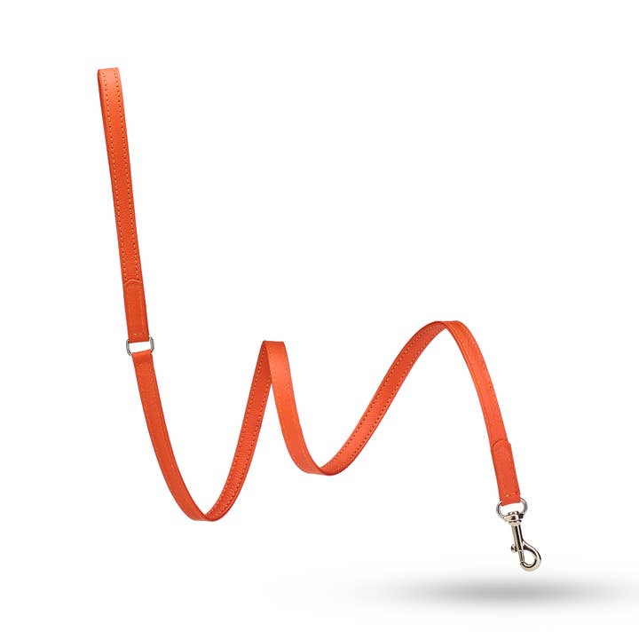 Movie Leash cm 1.5x120 for wholesale by JCP Società a Responsabilità Limitata semplificata