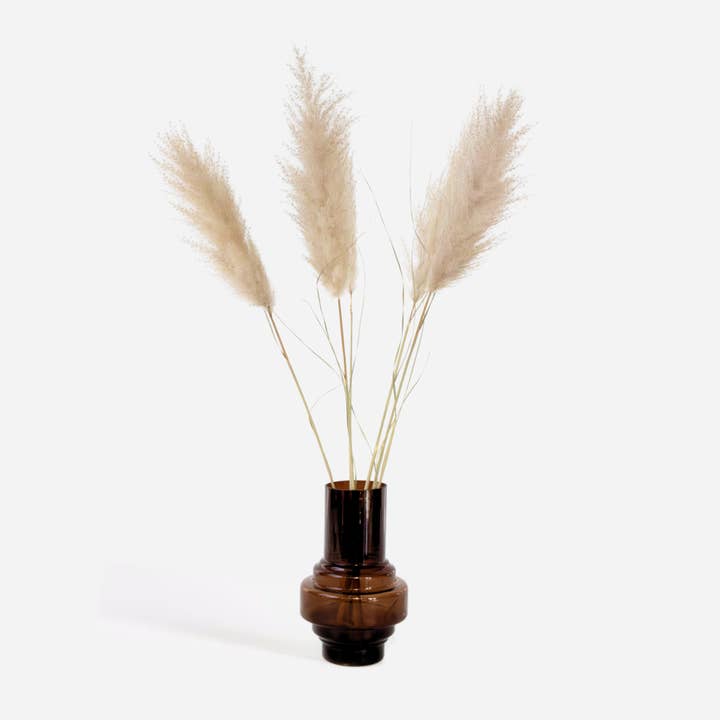 Dried Flowers – 5 pcs – Dryflower "Cortaderia Plum" – approx. 90–115cm – Natural Pampas Grass – XXL Dried Flowers for Vase, Decor & Boho Living Style – Fluffy, Durable & Easy to Care For and other Purchase Wholesale fluffy pampas grass. Free Returns & Net 60 Terms on Faire trending on Faire.