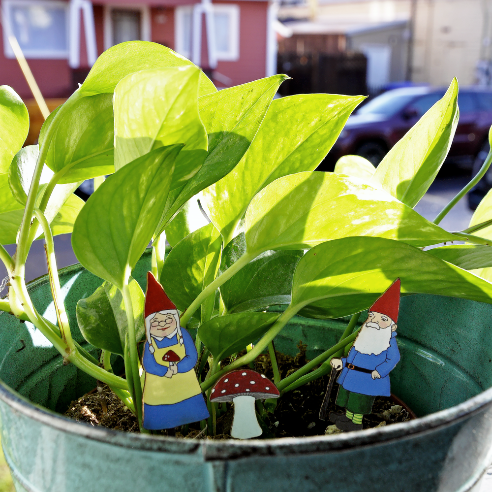 20 Leagues - Wholesale Decorative Figurine - Gnomes Fancy Plants Diorama Kit3