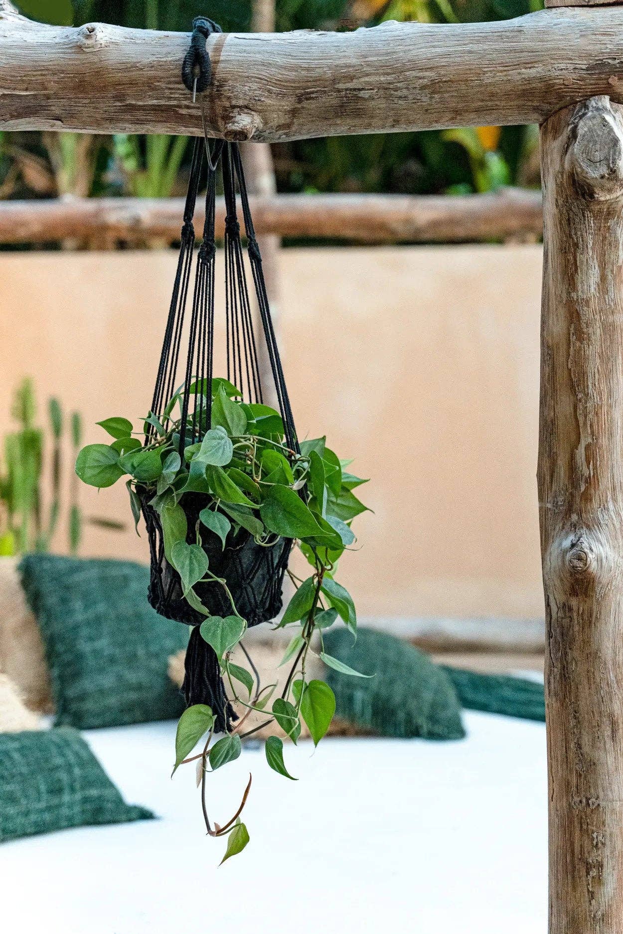 Bazar Bizar Living - Wholesale Hanging Planter - The Macrame Plant Holder - Black - S3