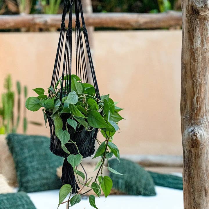 Bazar Bizar Living – wholesale Hängande kruka – Macrame Växthållare - Svart - S3