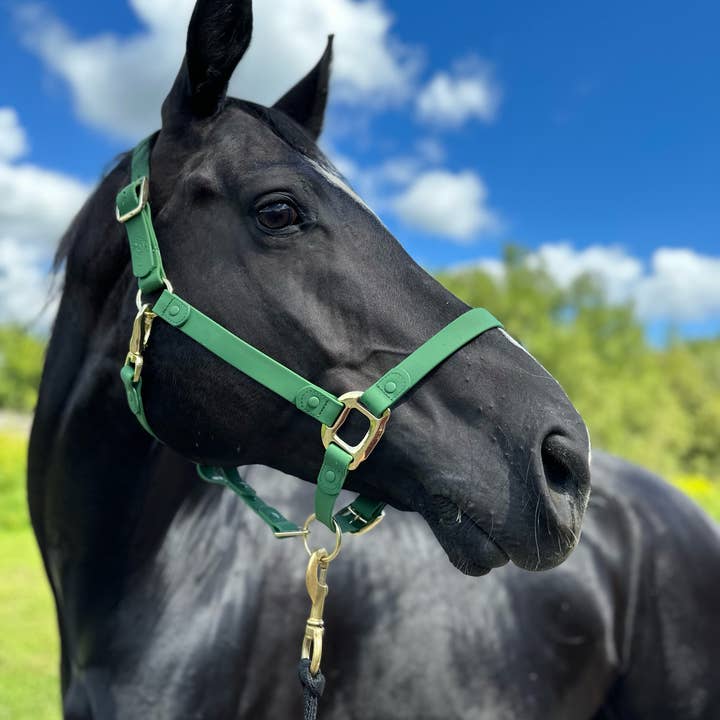 iDoggos – Engroshandel Rideudstyr – VANDTÆT Green Horse grime * NU TILGÆNGELIG*3