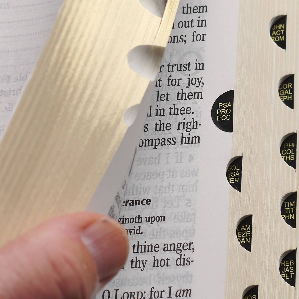 Christian Art Gifts - Wholesale Religion - KJV Bible Giant Print Full-size Faux Leather, Pink4