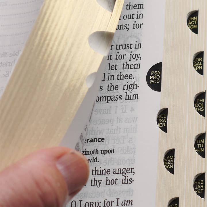 Christian Art Gifts - Wholesale Religion - KJV Bible Giant Print Full-size Faux Leather, Pink4