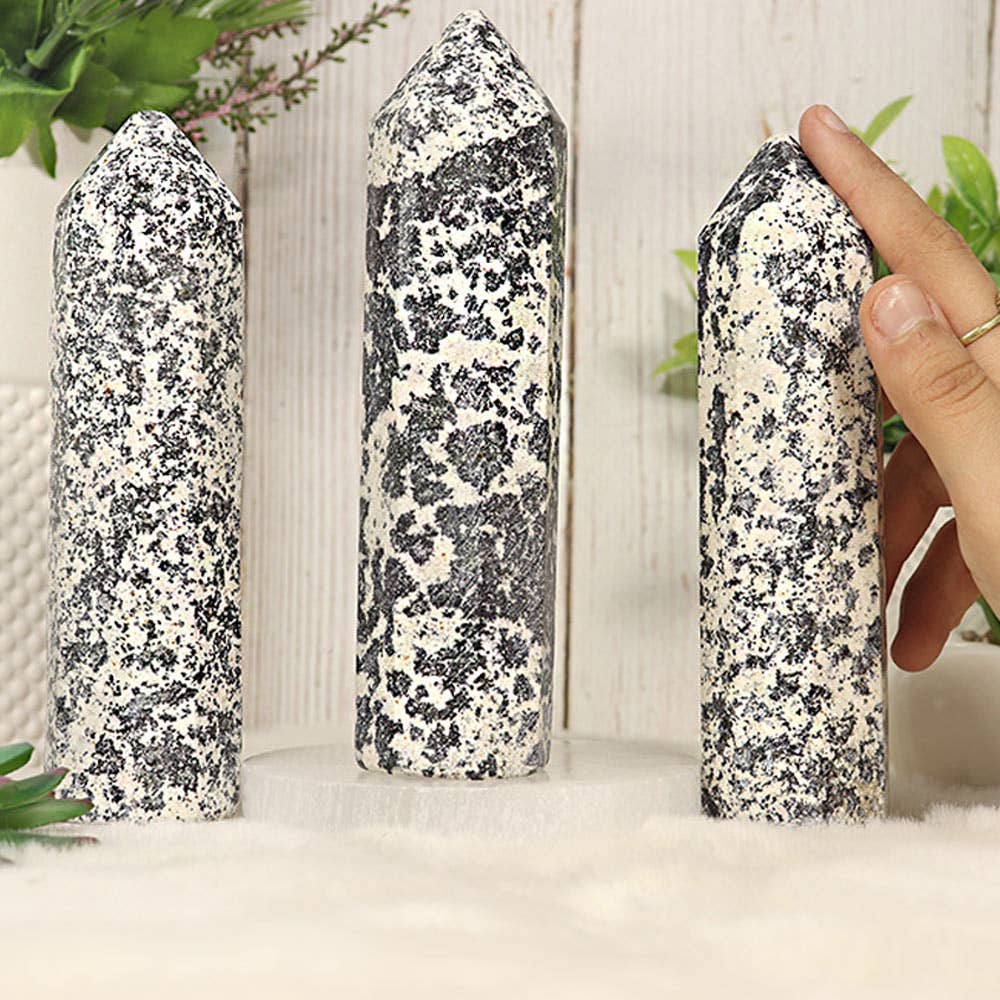 Natures Artifacts Inc - Wholesale Spiritual Stone/Crystal - Dalmatian Round Tip Tower – Dalmatian from Pakistan1