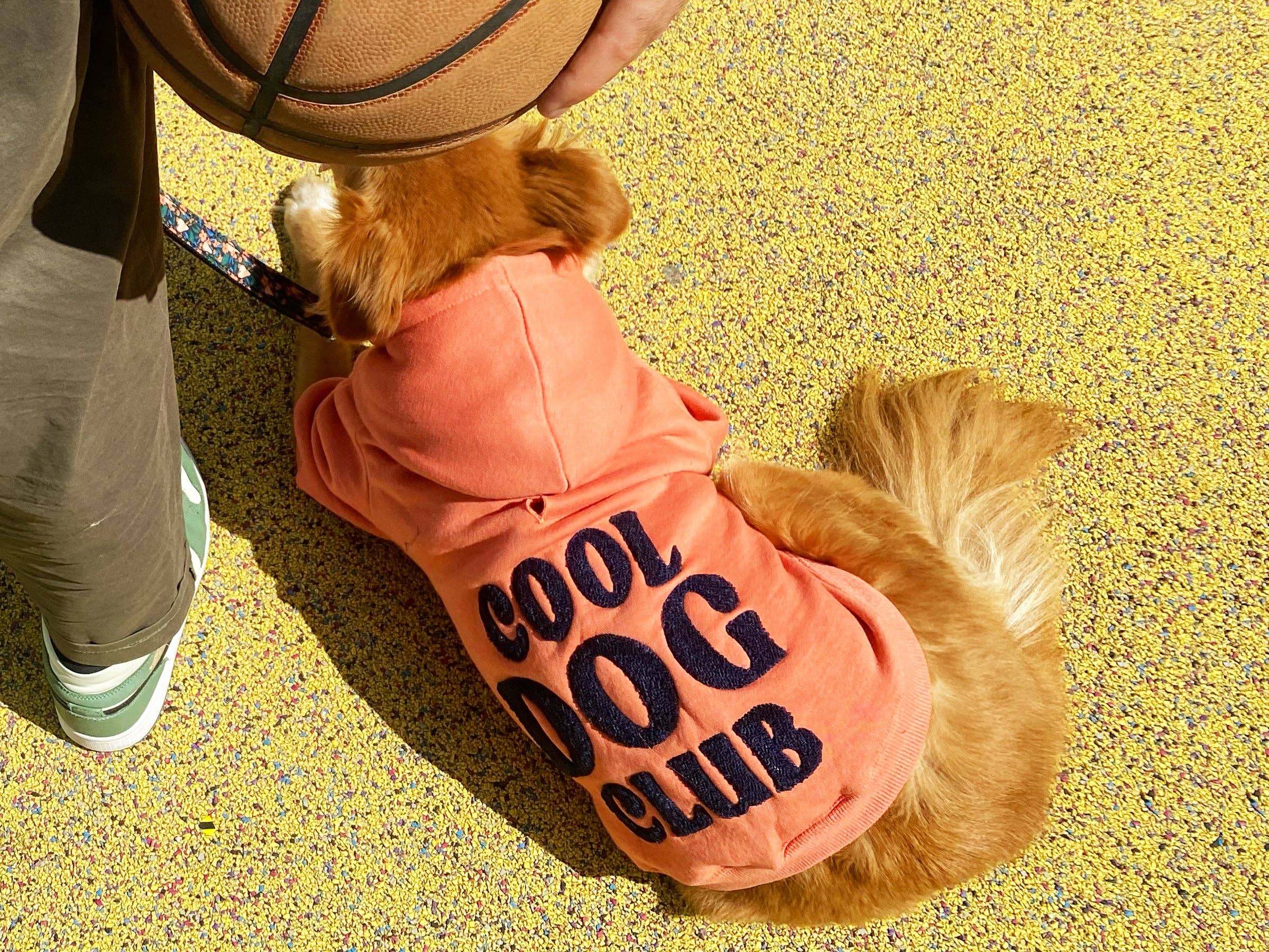 French Bandit - Wholesale Pet Hoodie - Dog - Hooded hoodies for dogs13