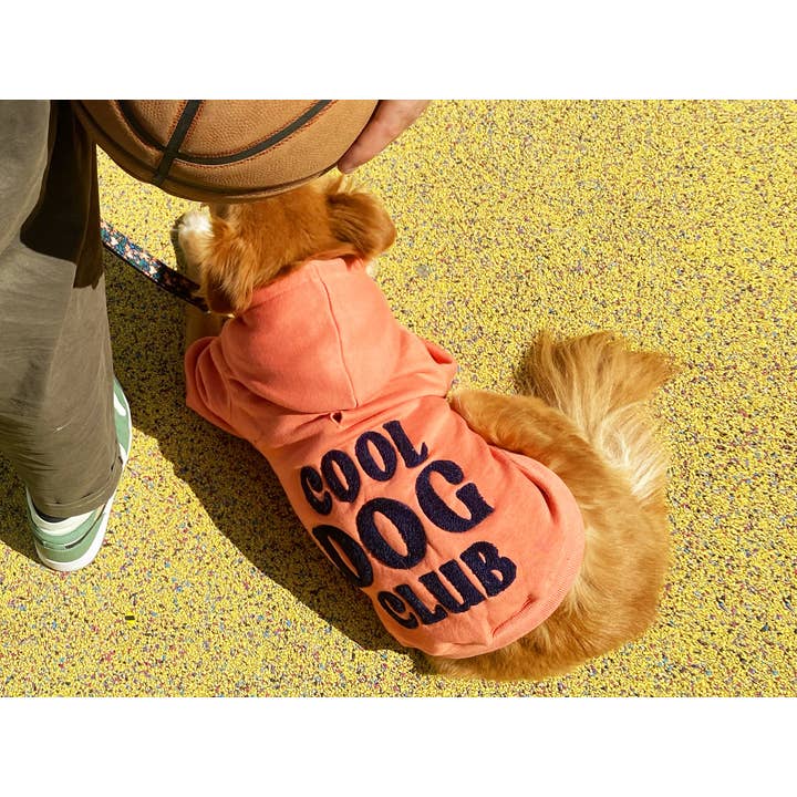 French Bandit - Wholesale Pet hoodie – Dog - Hooded hoodies for dogs13