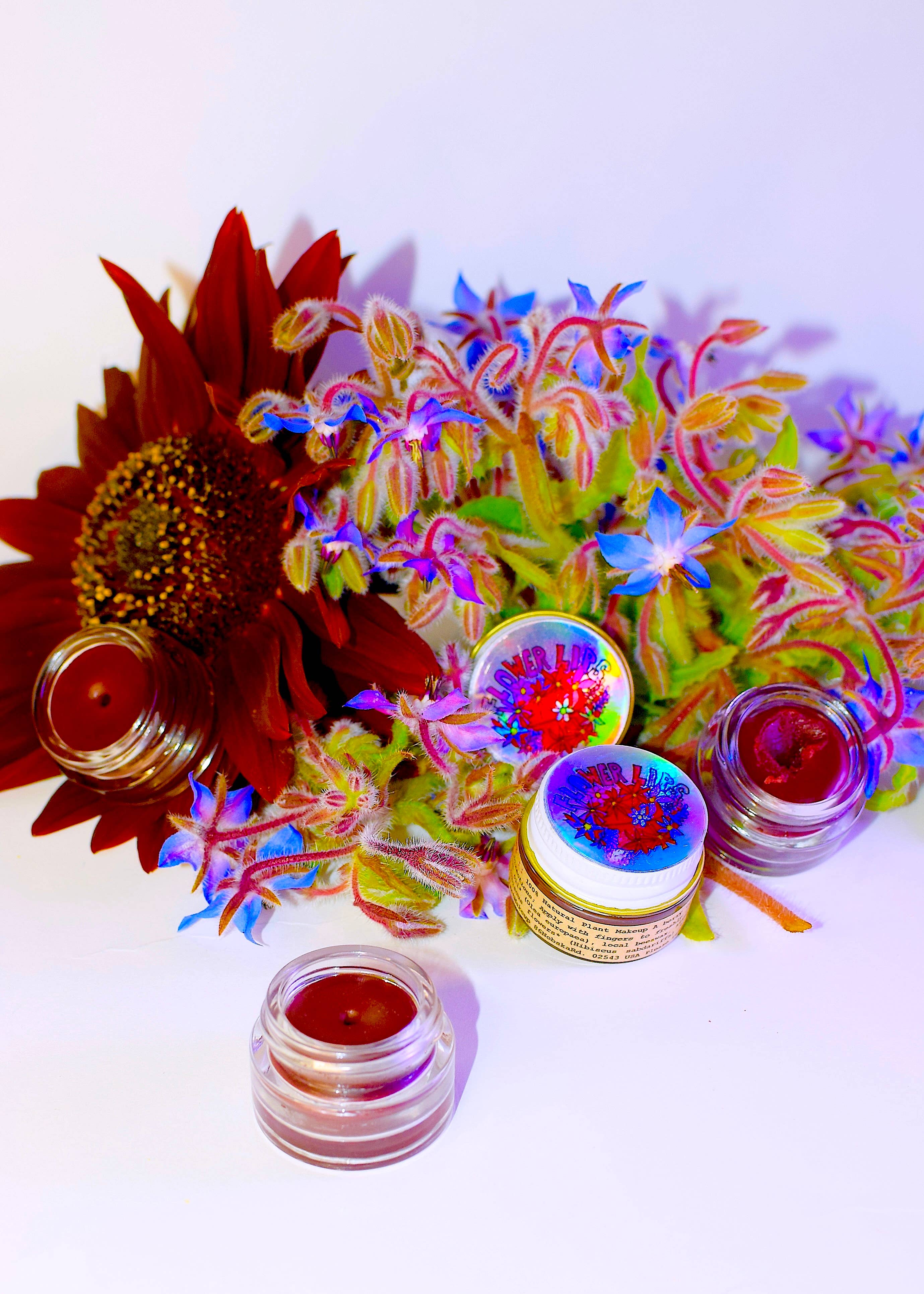 Plant Makeup – Tinta labial por atacado – Flor Lábios Tint6