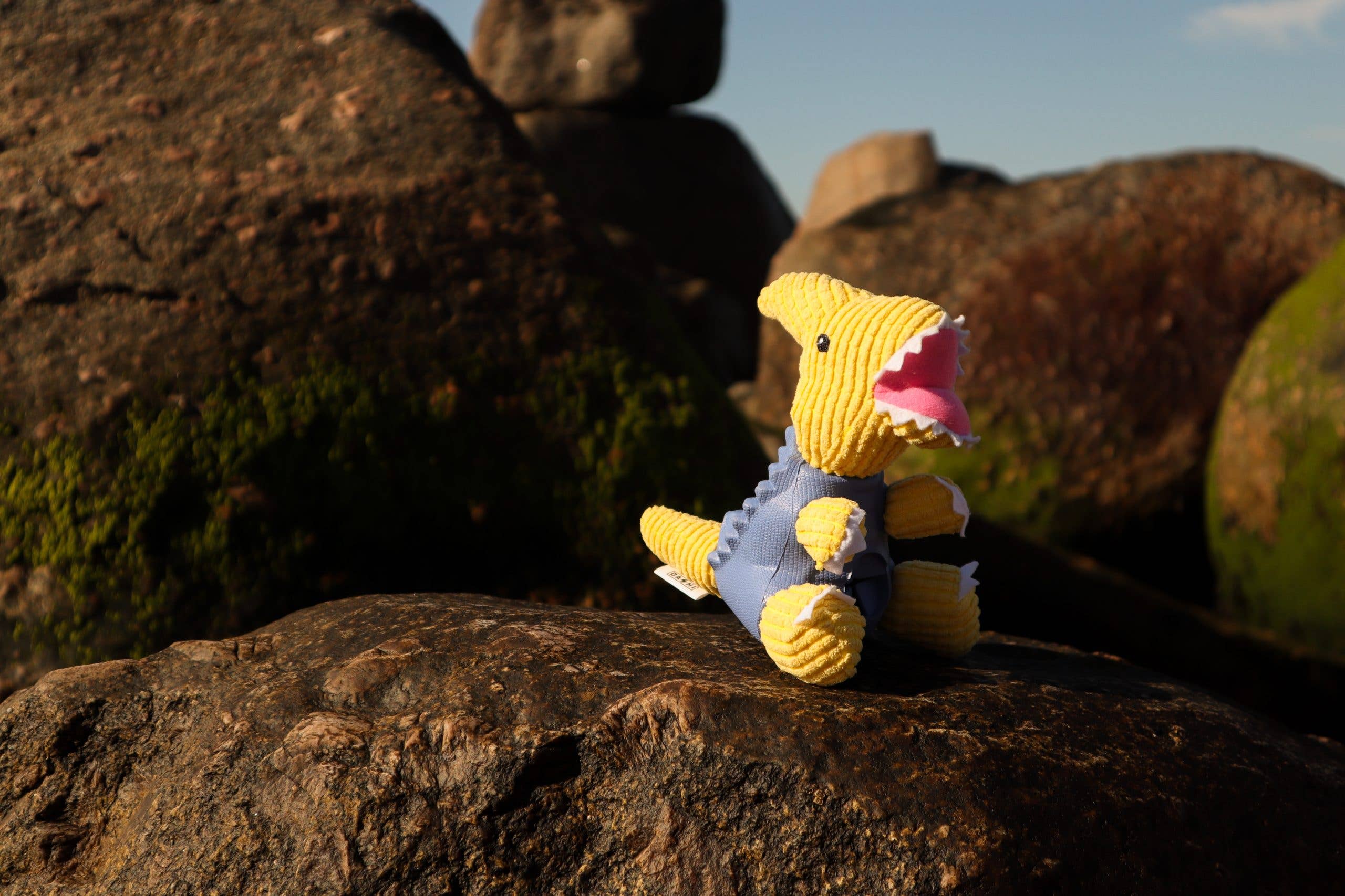 DASHI - Wholesale Pet Plush Toy - Dog - Dashi Dino Toy Parry2