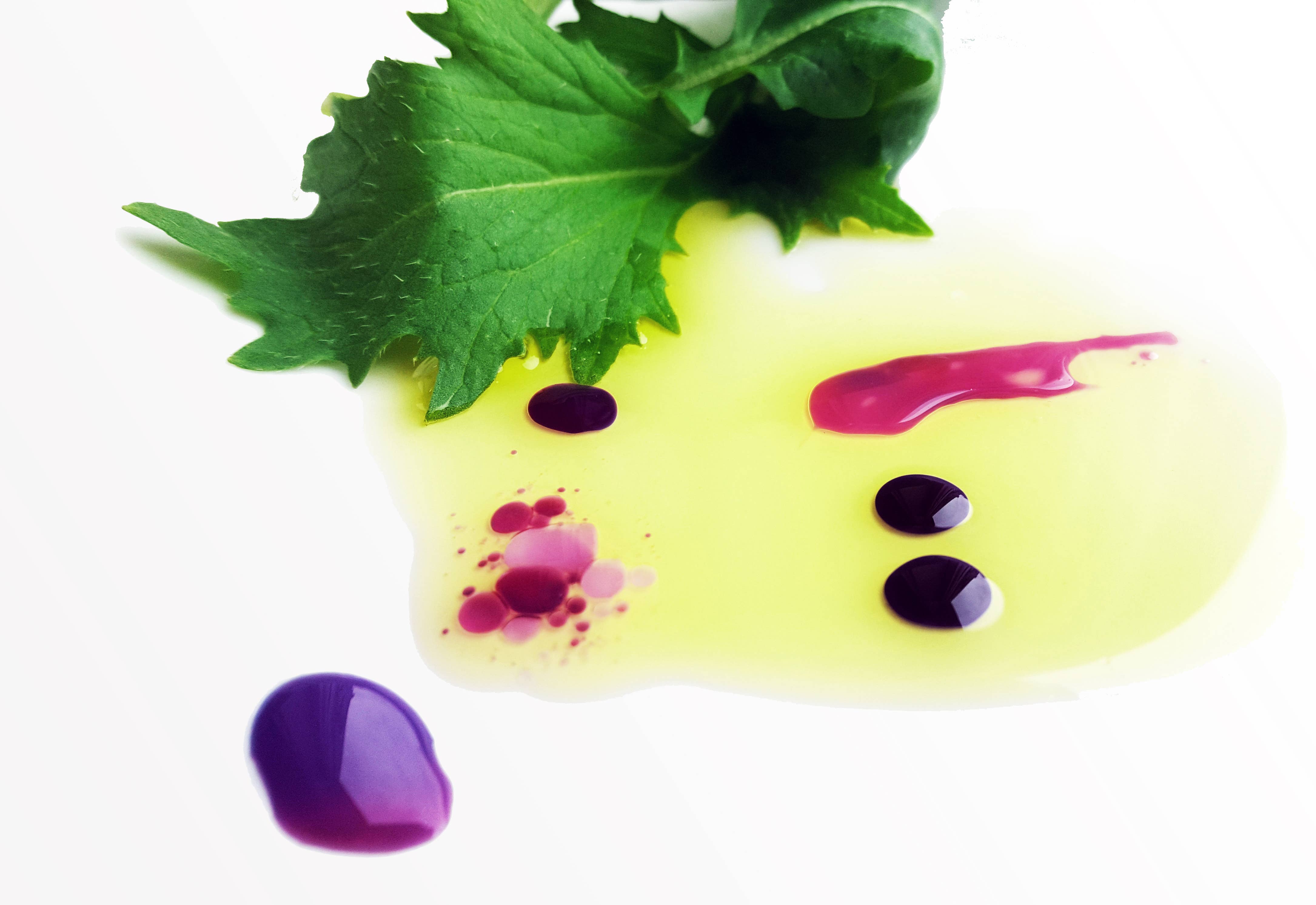 Wild Hibiscus Flower Company - Wholesale Drink Mix - B'Lure Butterfly Pea Flower Extract 3.4oz4