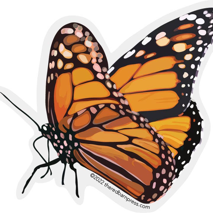 The Red Barn Press - Wholesale Sticker - Clear Edge Butterfly Sticker | Monarch Butterfly Sitting