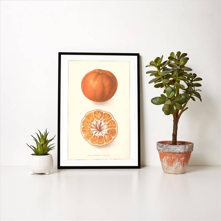 Found Image Press - Wholesale Art Print - Art Print FR-140 Orange, Interior and Exterior1