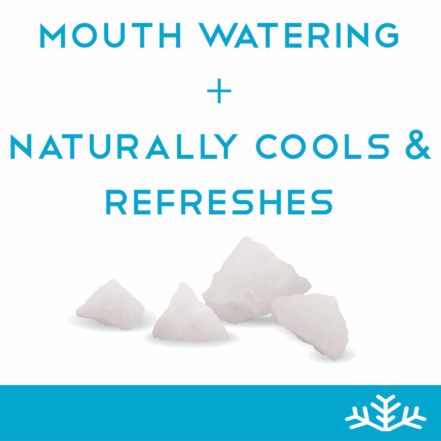 SNØ – Großhandel Bonbons – Zuckerfreie Pfefferminzbonbons - Keto & Vegan | 6 Dosen6