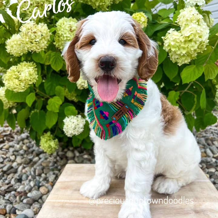 Mom And Pup Co. – wholesale Pet bandana – Dog – Aztec Dog Bandana - Boho Dog Bandana, Cute Puppy Bandana1