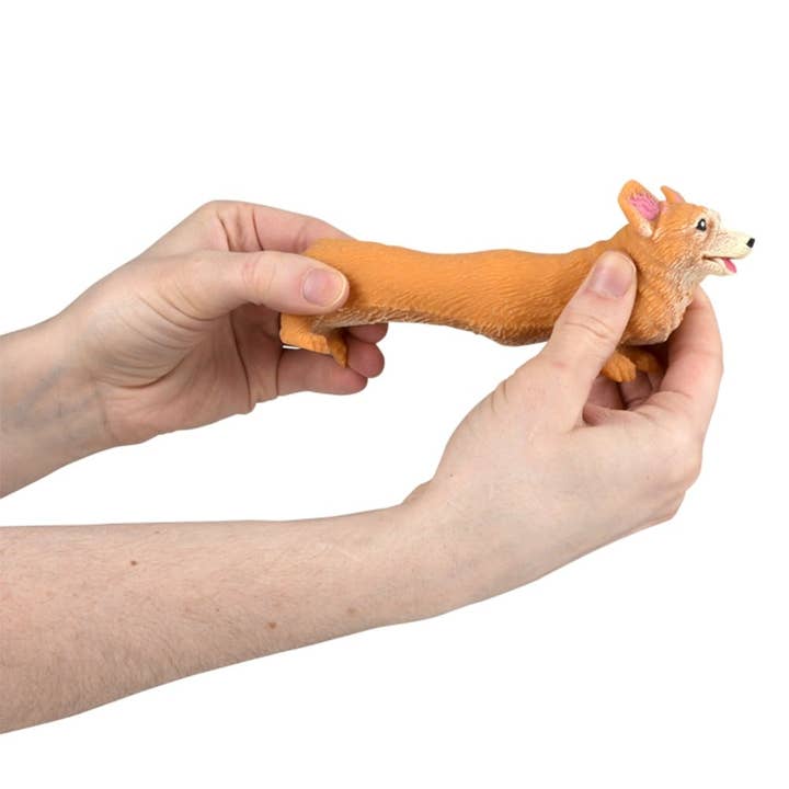 La Luna Bella - Toys - Wholesale Squishy Toy - Kids & Baby - 4" STRETCHY, SQUISH CORGI LLB Squishy Toys