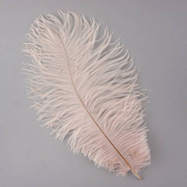 Plumes d'autruche 13-16" Drabs - Champagne pour la vente par Zucker Feather Products