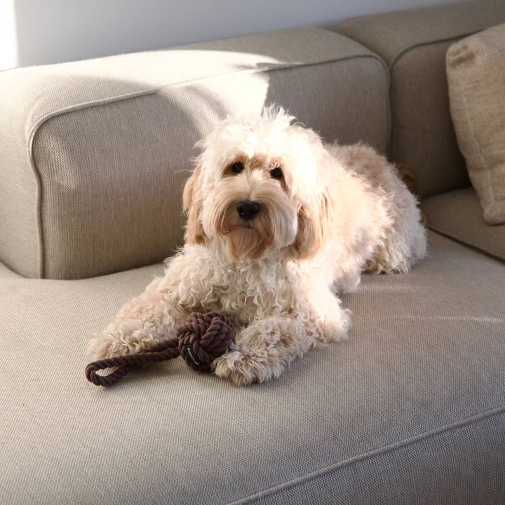 Nordog - Wholesale Pet Rope Toy - Dog - Original Rope Toy Choco4