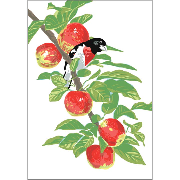 Impression artistique RBI-216 Gros-bec et pomme : oiseau dans un arbre fruitier pour la vente par Rigel Paper
